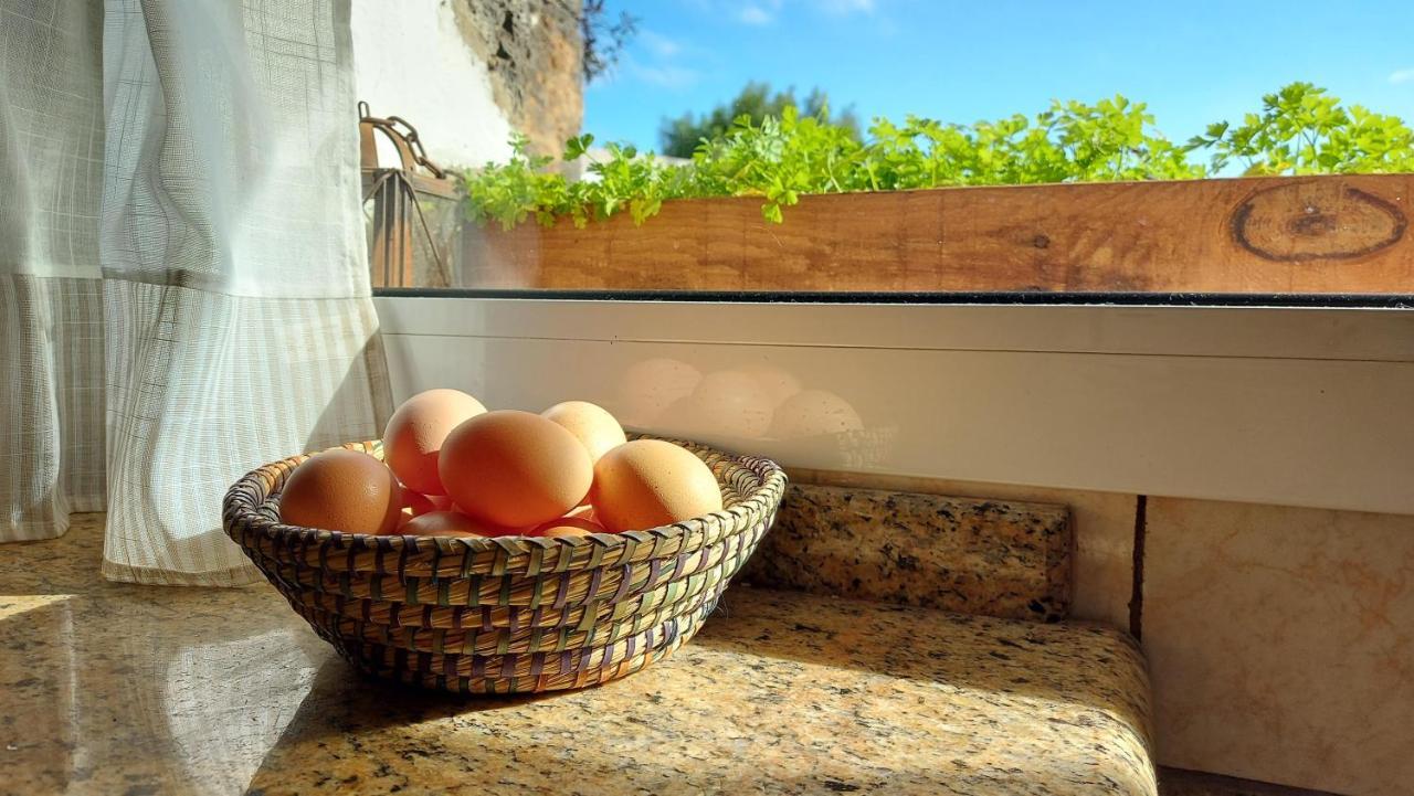Casa Natura Ainhoa La Oliva Ngoại thất bức ảnh